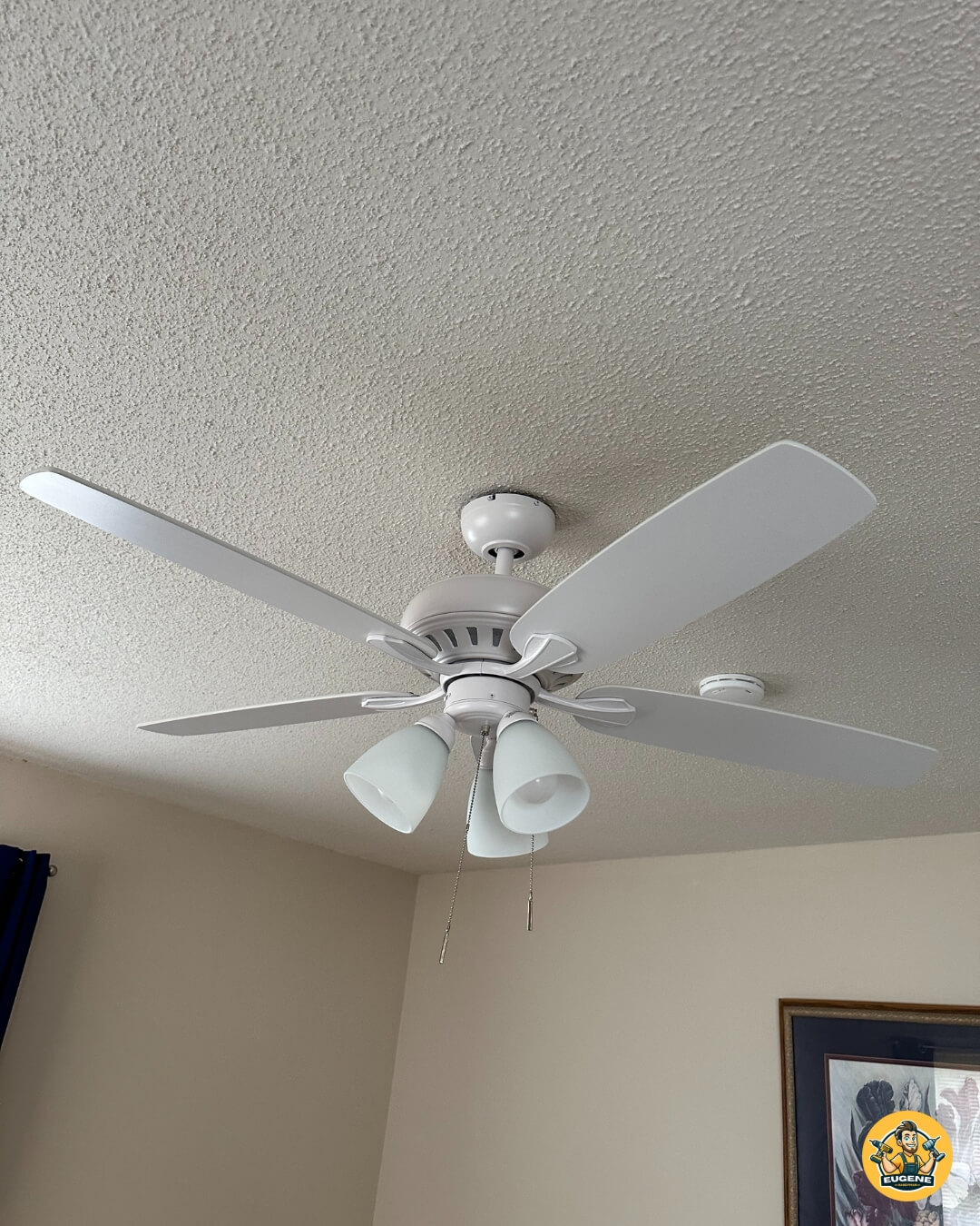 Ceiling Fans