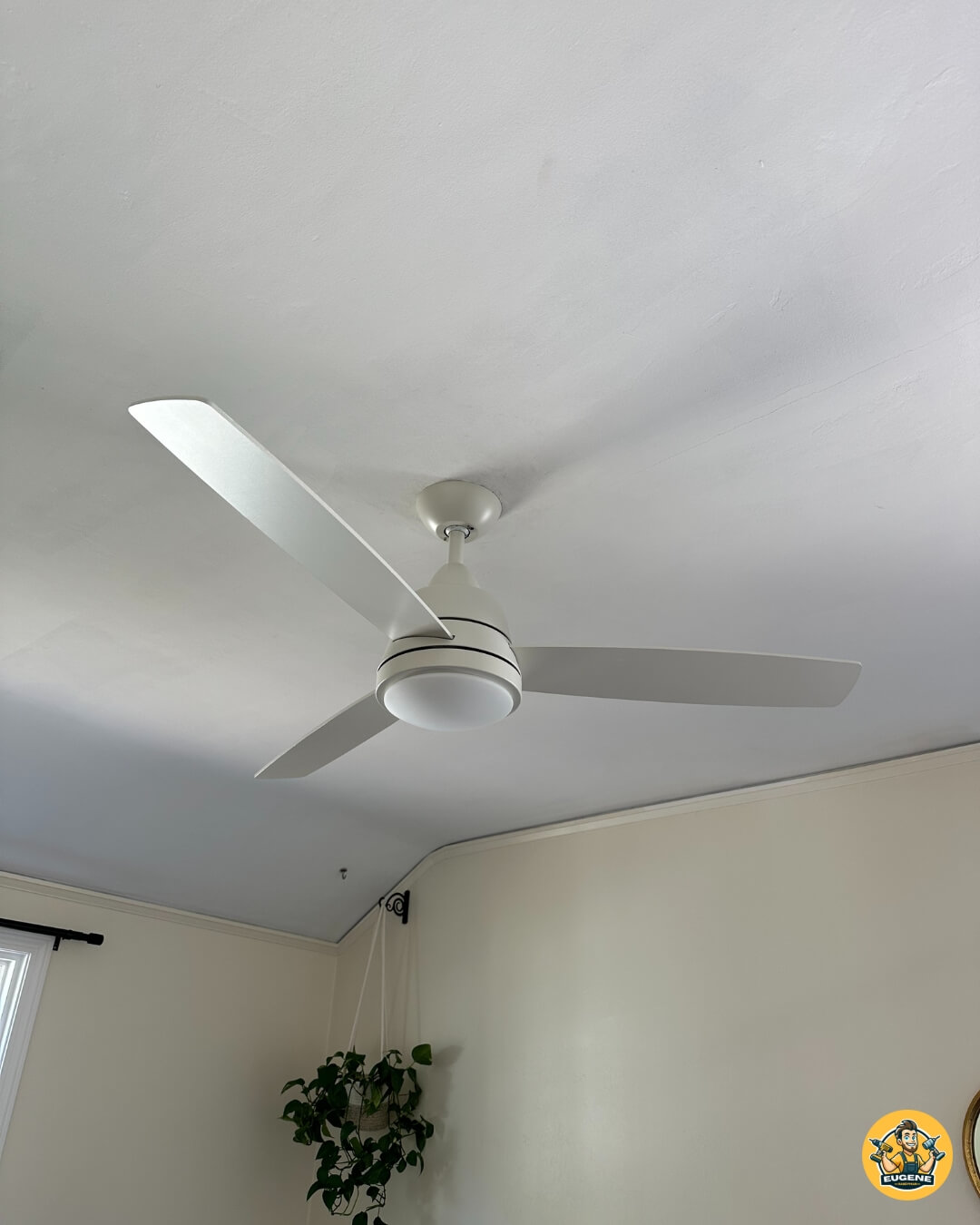 Ceiling Fans