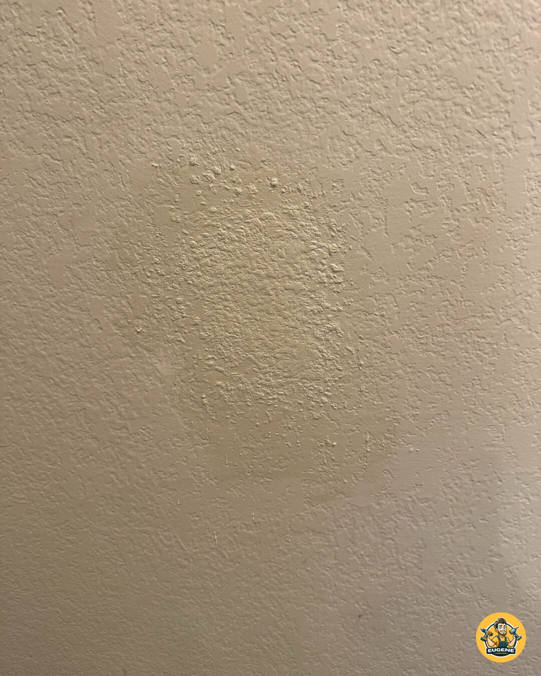 Drywall Repair